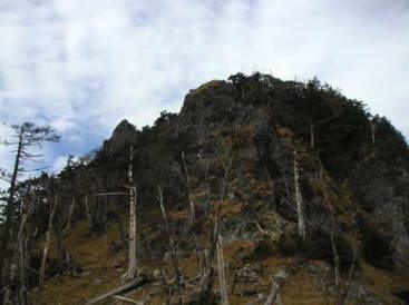 �������x���